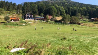 Ayder Yaylası yerli turistlere kaldı