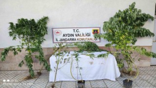 Aydında jandarma ekipleri uyuşturucuya geçit vermiyor