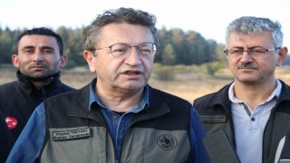Bakan Yardımcısı Tiryaki: “Yangının ateşi söndürüldü”