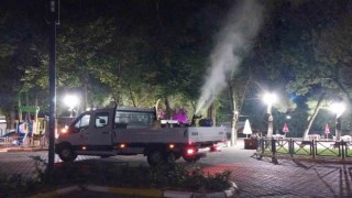 Balıkesir Büyükşehirden haşereye geçit yok