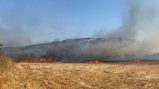 Balıkesirde arazi yangını