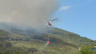 Başıbüyük Ormanında çıkan yangına itfaiye ve helikopter müdahale ediyor