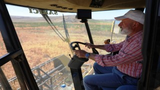 Başkan Çolakbayrakdar, ekimini yaptığı aspirin hasadını da kendisi yaptı