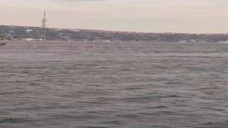 Beşiktaşta tekne alabora oldu, 4 kişi kurtarıldı