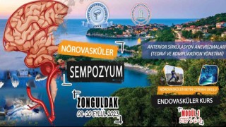 Beyin ve Sinir Cerrahları emeğin başkentinde buluşuyor