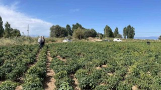 Beyşehirde çiftçiler ürün zararlılarına karşı bilgilendiriliyor