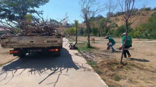 Bingöl Belediyesi, park ve bahçelerde bakım onarım çalışması başlattı