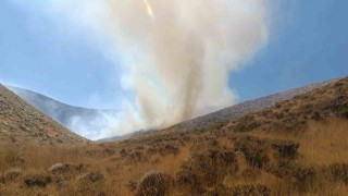 Bingölde iki bölgede çıkan yangın söndürüldü