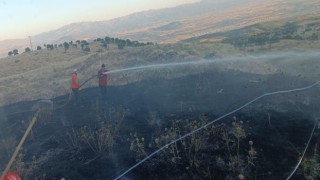 Bingölde yangın ormana sıçramadan söndürüldü