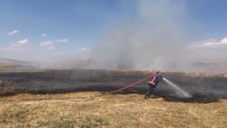 Birçok kuş türüne ev sahipliği yapan Nehil Sazlığında yangın