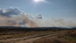 Bulgaristan-Türkiye sınırındaki orman yangını kontrol altına alındı