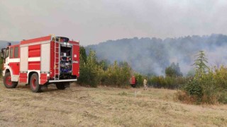 Bulgaristan-Türkiye sınırındaki yangın sebebiyle 2 köy boşaltıldı