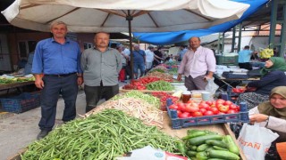 Burhaniyede organik sezonu başladı