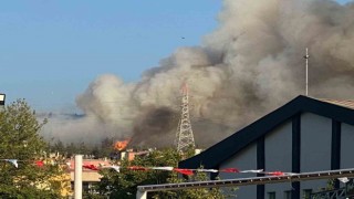 Bursada orman yangını