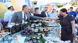 Bursanın Siyah incisinde hasat başladı