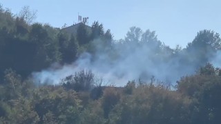 Çalılıkta çıkan yangın ormanlık alana sıçramadan söndürüldü