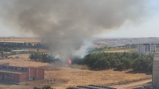 Çamlık alanda çıkan yangın paniğe neden oldu