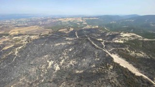 Çanakkalede bu yıl 114 orman yangınında 4 bin 260 hektar ormanlık alan zarar gördü