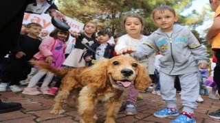 Canikte can dostları için fotoğraf yarışması