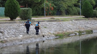 Çark Deresi ve çevresi temizlendi