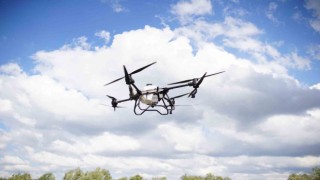 Çarşamba Ovasında ulaşımı zor tarım alanları dronla ilaçlanacak
