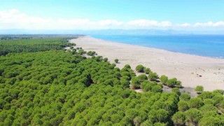 Çarşambaya ‘Baykuş Orman Okulu