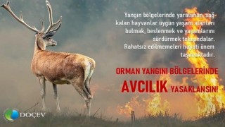 Çevrecilerden Yangın bölgelerinde avcılık yasaklansın talebi