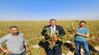 CHPli vekil cumhurbaşkanına seslendi: “Çiftçinin sesine kulak verin”