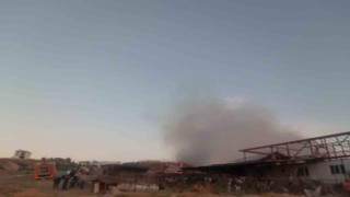 Çiftlikteki samanlar alev alev yandı, çok sayıda hayvan son anda kurtarıldı