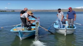 Çıldırdaki doğal yaşama 150 bin yavru sazan desteği