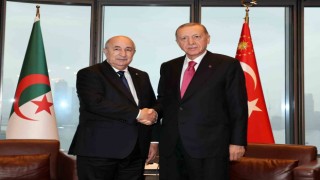 Cumhurbaşkanı Erdoğan, Cezayir Cumhurbaşkanı Tebbun ile görüştü
