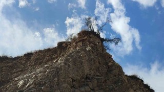 Dağ keçileri doğal hayatlarında görüntülendi