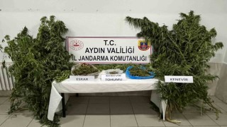 Didimde uyuşturucu operasyonu: 1 gözaltı