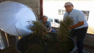 Distilasyon makinesi ile lavanta üreticileri zamandan tasarruf ediyor