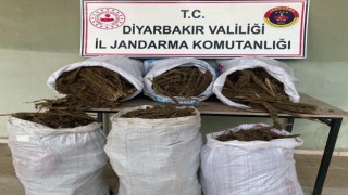 Diyarbakırda 121 kilo esrar ele geçirildi