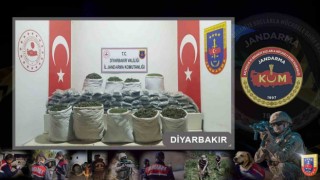Diyarbakırda 712 bin adet uyuşturucu madde türevleri ele geçirildi