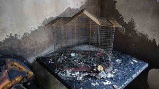 Diyarbakırda ev yangını: Ev kullanılamaz hale geldi