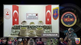 Diyarbakırda “Narkoterör Operasyonu”