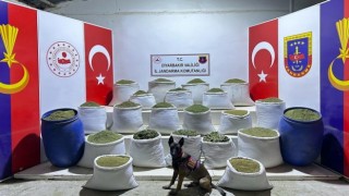 Diyarbakırda terörün finans kaynağına büyük darbe: 2 ton esrar ele geçirildi