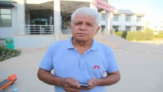 Doğum yapan köpek balığı sandılar, gerçek ay balığı çıktı