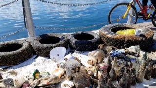 Dünya Temizlik Gününde 432 kilo atık toplandı