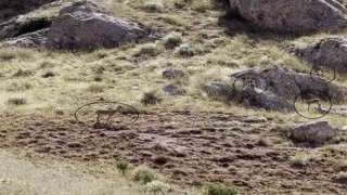 Dünyanın en güzel manzarası diyerek kayda aldı