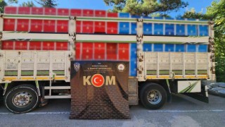 Durdurulan kamyondan 7,5 milyon adet makaron ele geçirildi