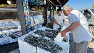 Düzcede hamsi fiyatı 20 liraya kadar düştü