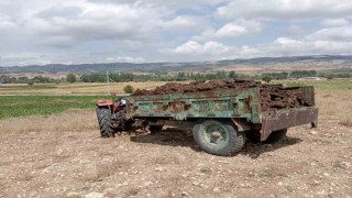 El frenini çekmeyi unuttuğu traktörün altında kaldı