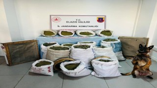 Elazığda 241 kilo esrar ele geçirildi: 2 tutuklama