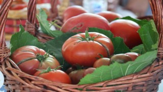 En lezzetli domatesi ve höşmerimi seçtiler