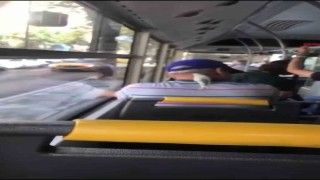 Ensesine konan muhabbet kuşuyla böyle seyahat etti
