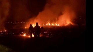 Erzincanda anız yangını