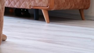 Eve giren hasta kedi korkuttu